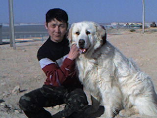 Азамат Габсалов