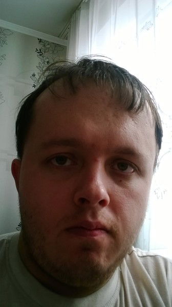 Владимир Волгин