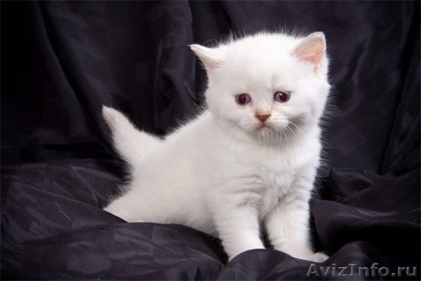 Юлия Башмакова