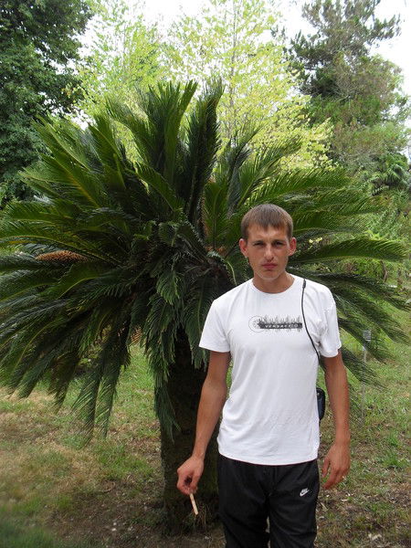 Андрей Веркиенко