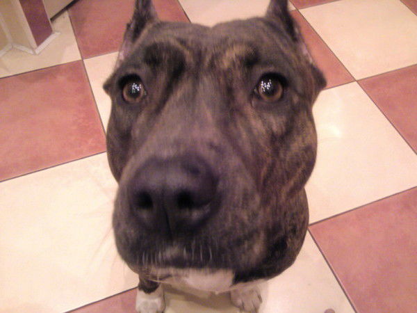 Нурдаулет Ильясов