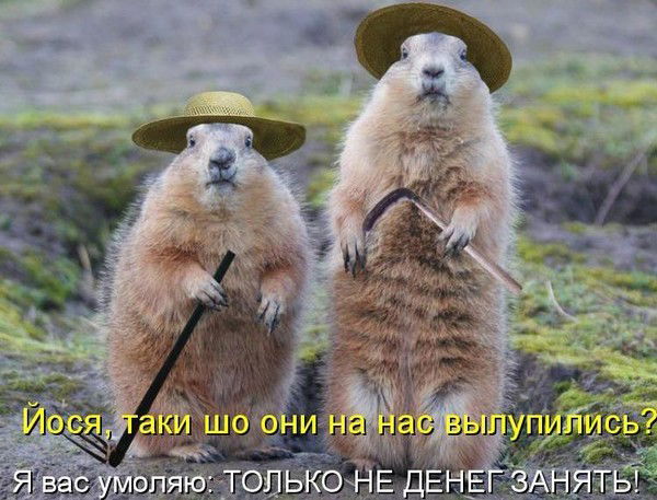 Мохир Абидов