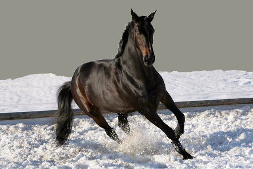 Нургазы Маматкаримович