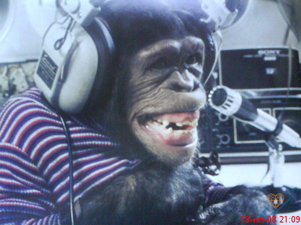 Олег Никифоров