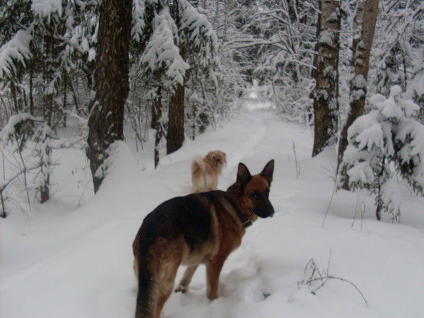 Татьяна Демидова