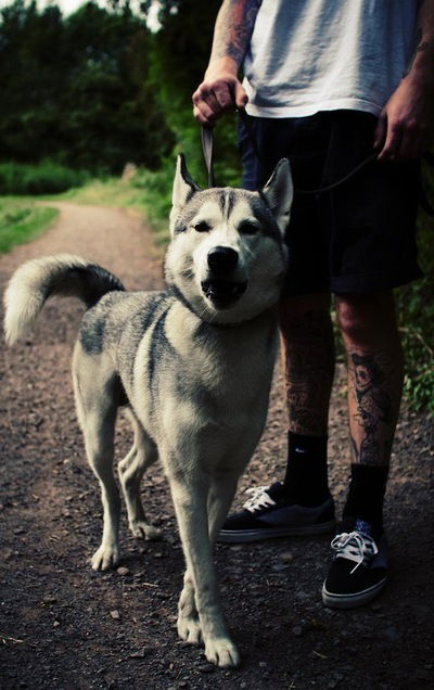 Андрей Шаврин