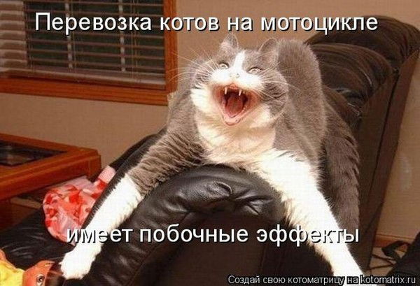 Лариса Петраускас