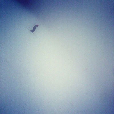 Николай Шарапов