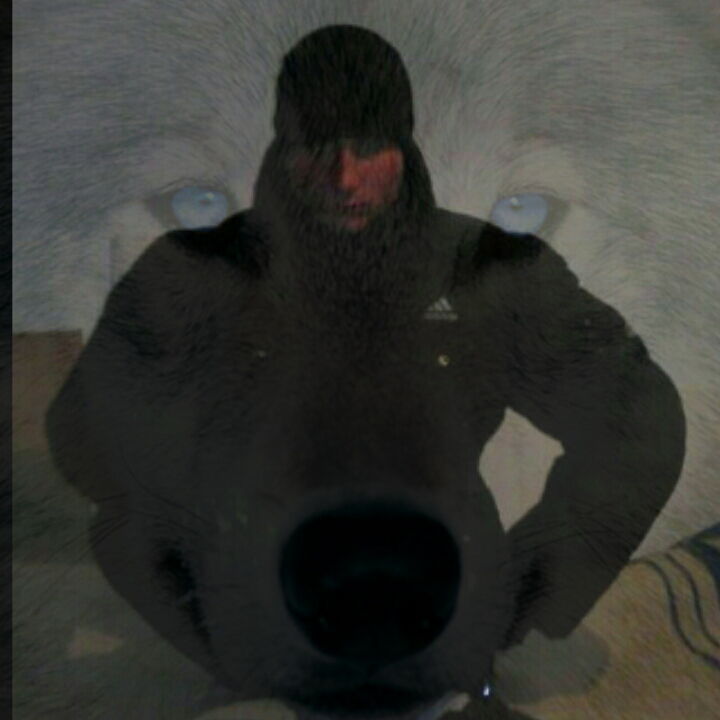 Дмитрий Шереметьев