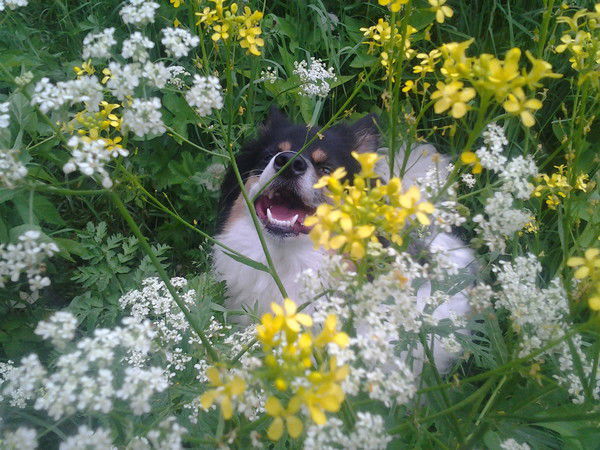 Галина Уракчеева