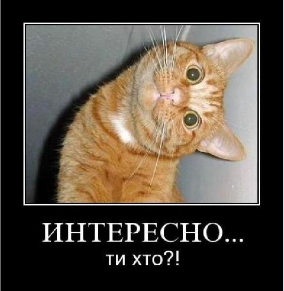Ольга Силина