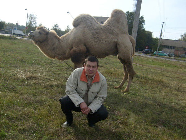 Сергей Азаров