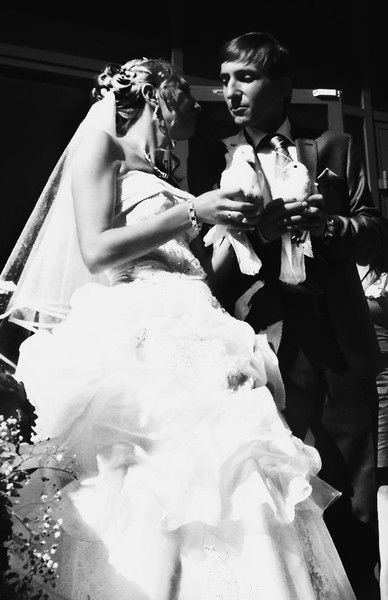 Анастасия Максимова