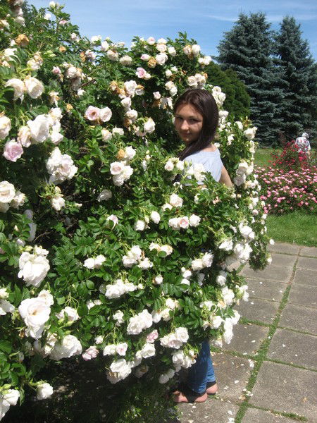 Маргарита Ольмезова