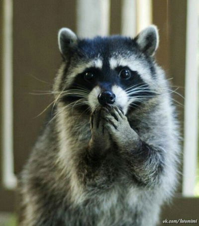 Юленька Гришина