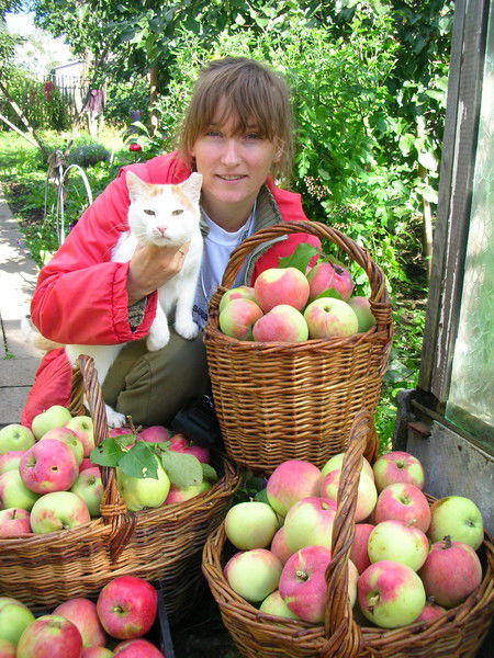 Елена Розова