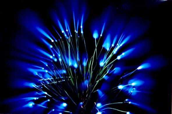 Неизвестно Неизвестно