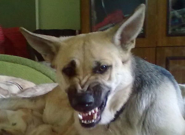 Элита Урала