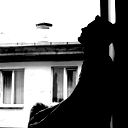 Kirill Panovd
