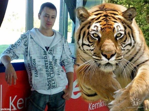 Тимур Авдрахманов