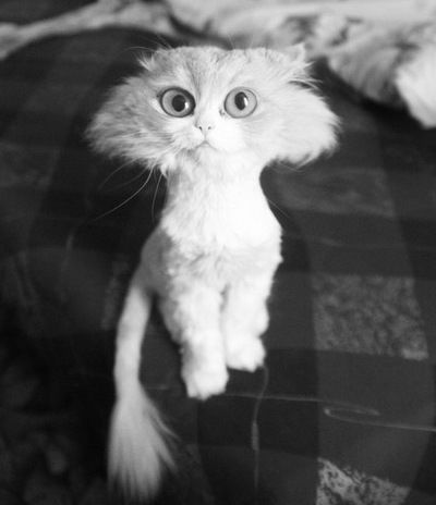 Андрей Калиновский