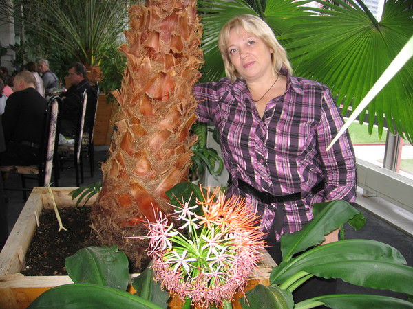 Людмила Аюпова