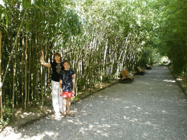 Марина Албатырева