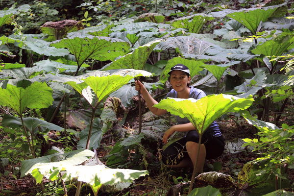 Елена Пашкова