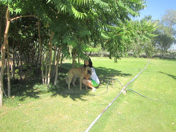 Амина Дюсембинова