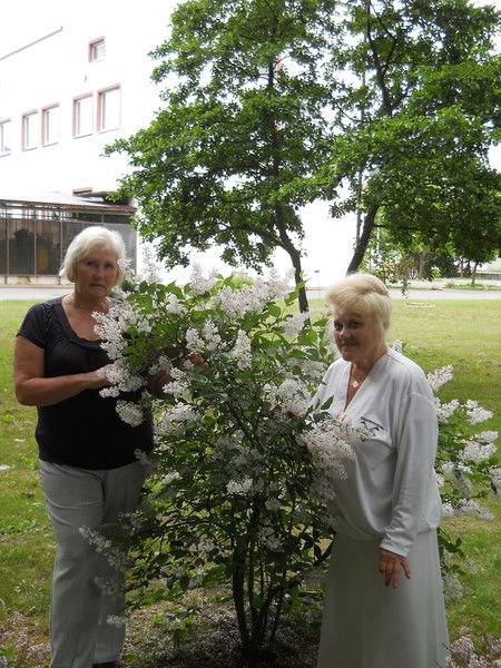 Татьяна Максимова