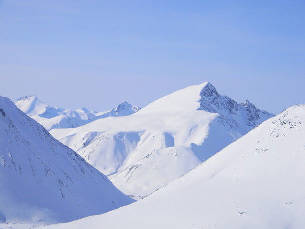 Надежда Прокушева