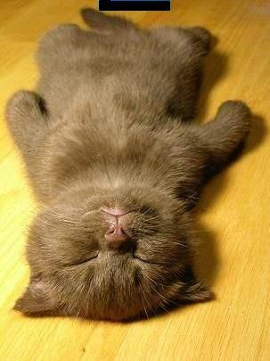 Любовь Морозова