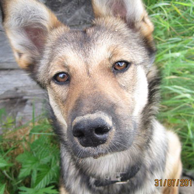 Ольга Зуева