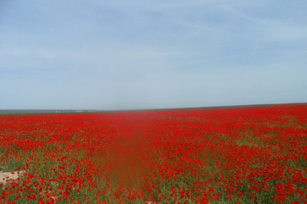 Асылай Унипаева