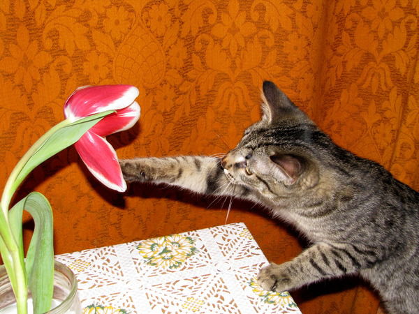 Татьяна Пименова