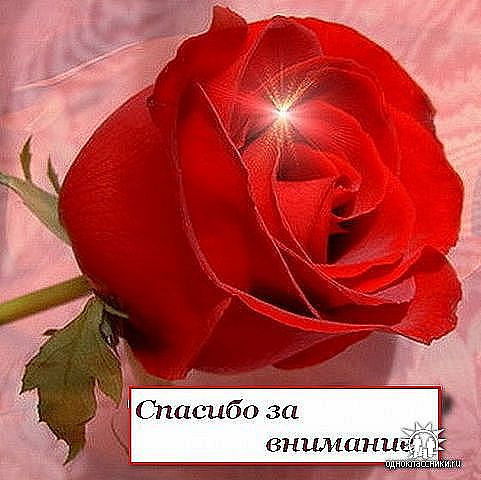 Елена Шилова