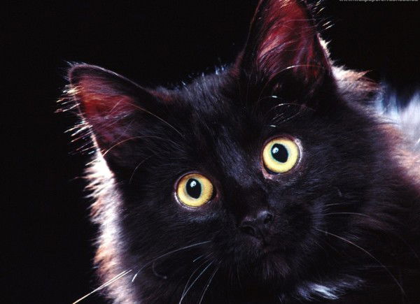 Валентина Ралдугина