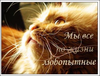 Елена Мельникова