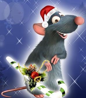 Анастасия Малышева