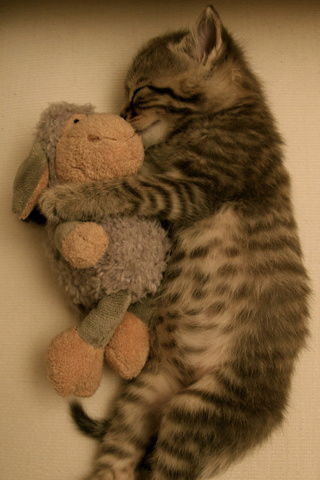 Алия Ранатовна &