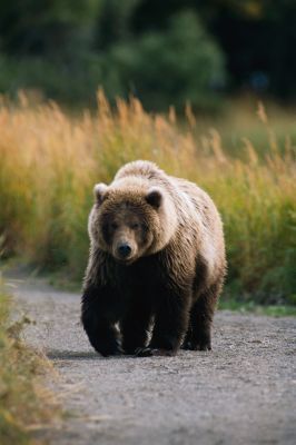 Михаил Михайлов