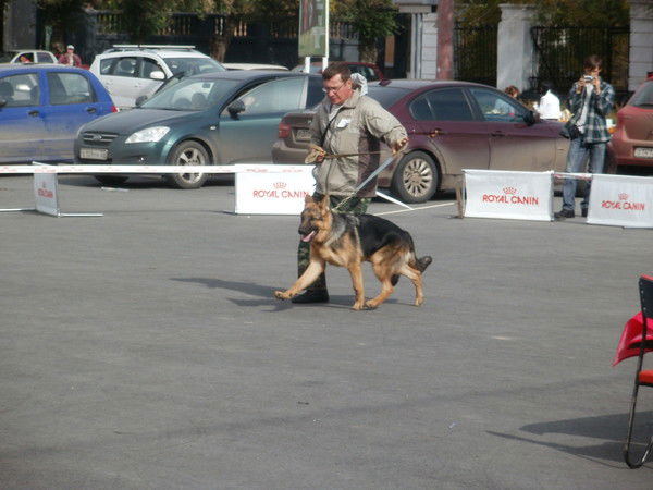 Юрий Сахонов