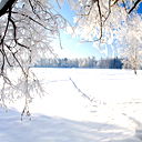 Юлия Примоленная