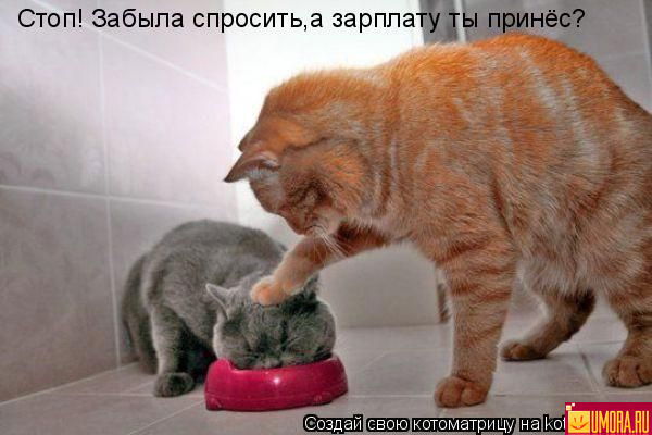 Алексей Чернополь