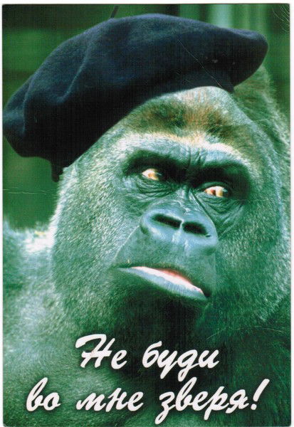 Закир Абдуллин