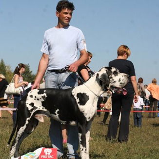 Андрей Коржавин