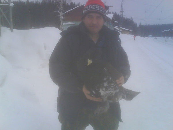 Михаил Московский