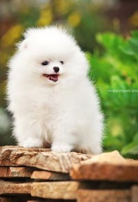 Азалия Гузаирова