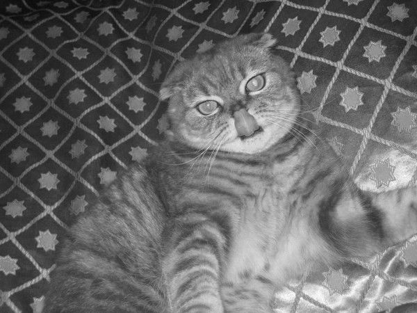 Марина Кижапкина