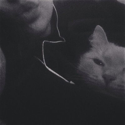 Настя Антонова